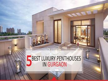 penthouse in gurgaon